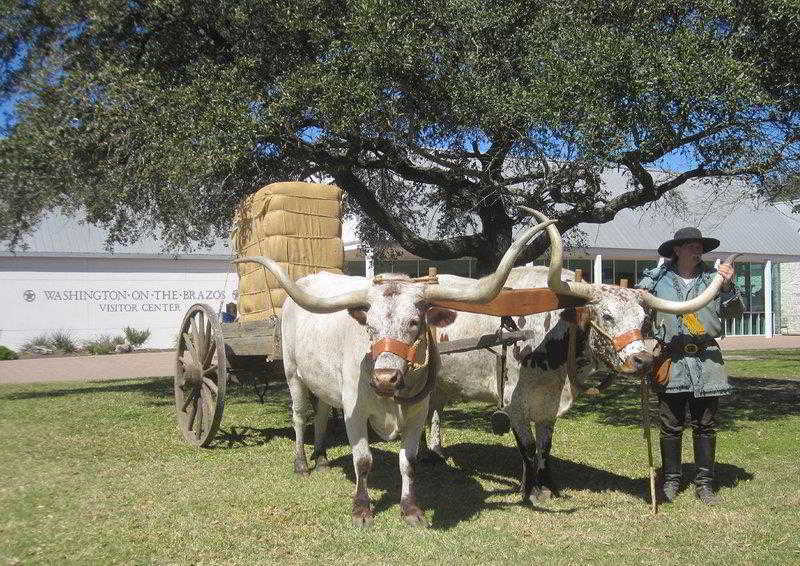 Best Western Inn Of Brenham Esterno foto