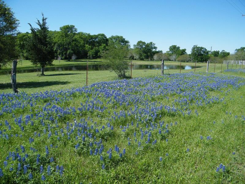 Best Western Inn Of Brenham Esterno foto